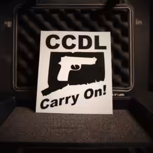 Large Vinyl Cut Decals (2 Pack)