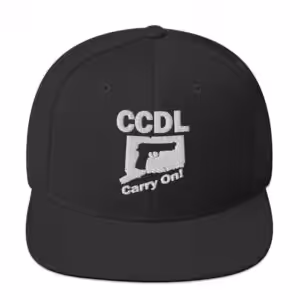 "Embroidered Minimalist" Snapback Hat