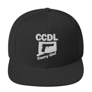 "Embroidered Minimalist" Snapback Hat